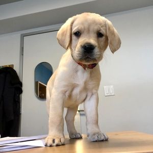 Meet your Posher, Cathy